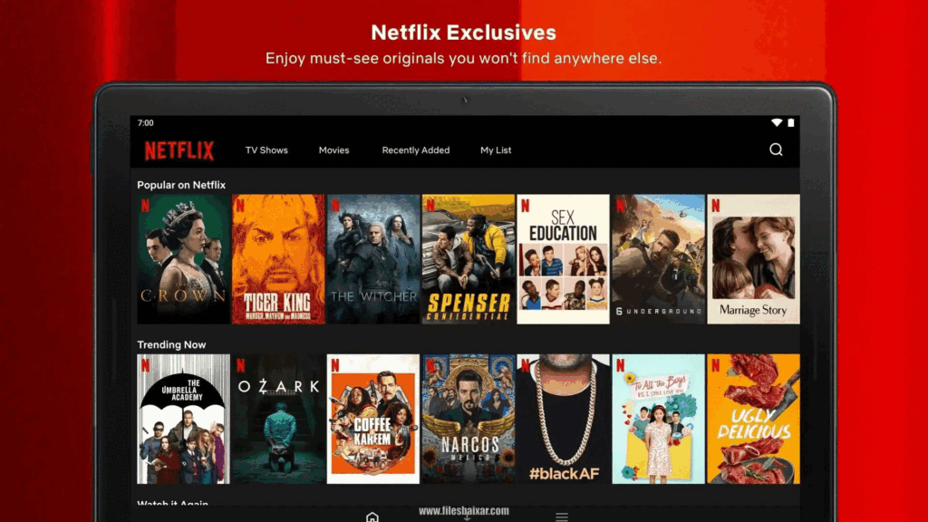 Netflix الكراك